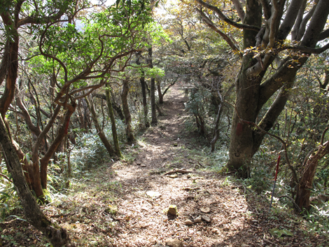 20181025hike (206)